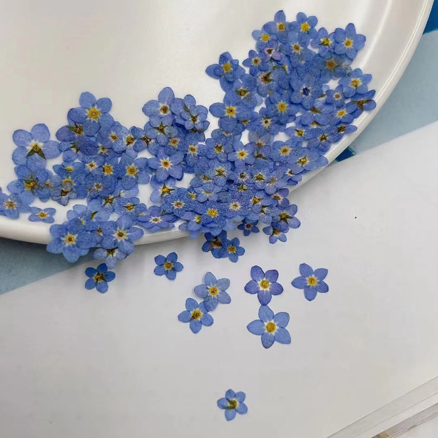 60개입 미니 압화 꽃 - 사진 액자, 레진 주얼리,  - Resin Art Equipment 리뷰 및 가격